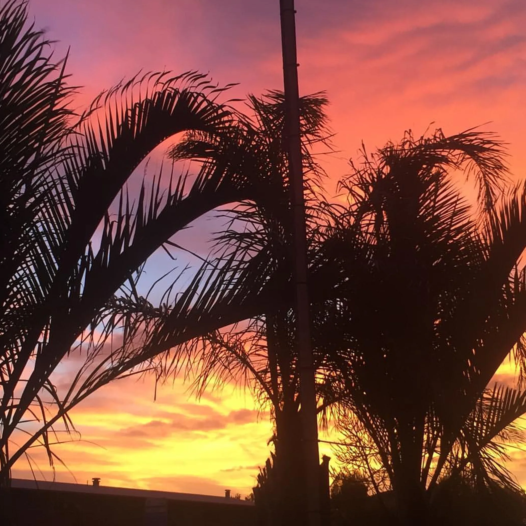 sunset over exmouth coastline