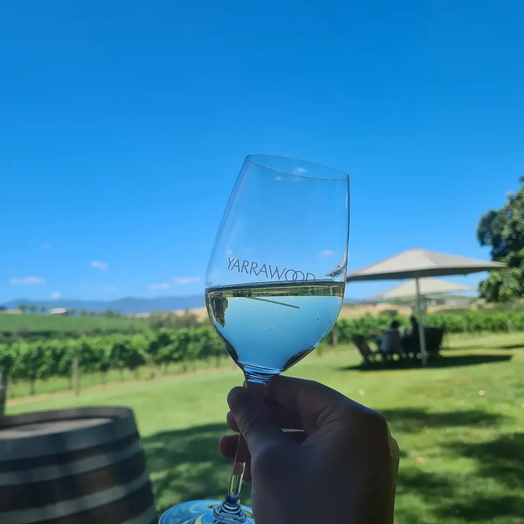 wine glass with vineyard background