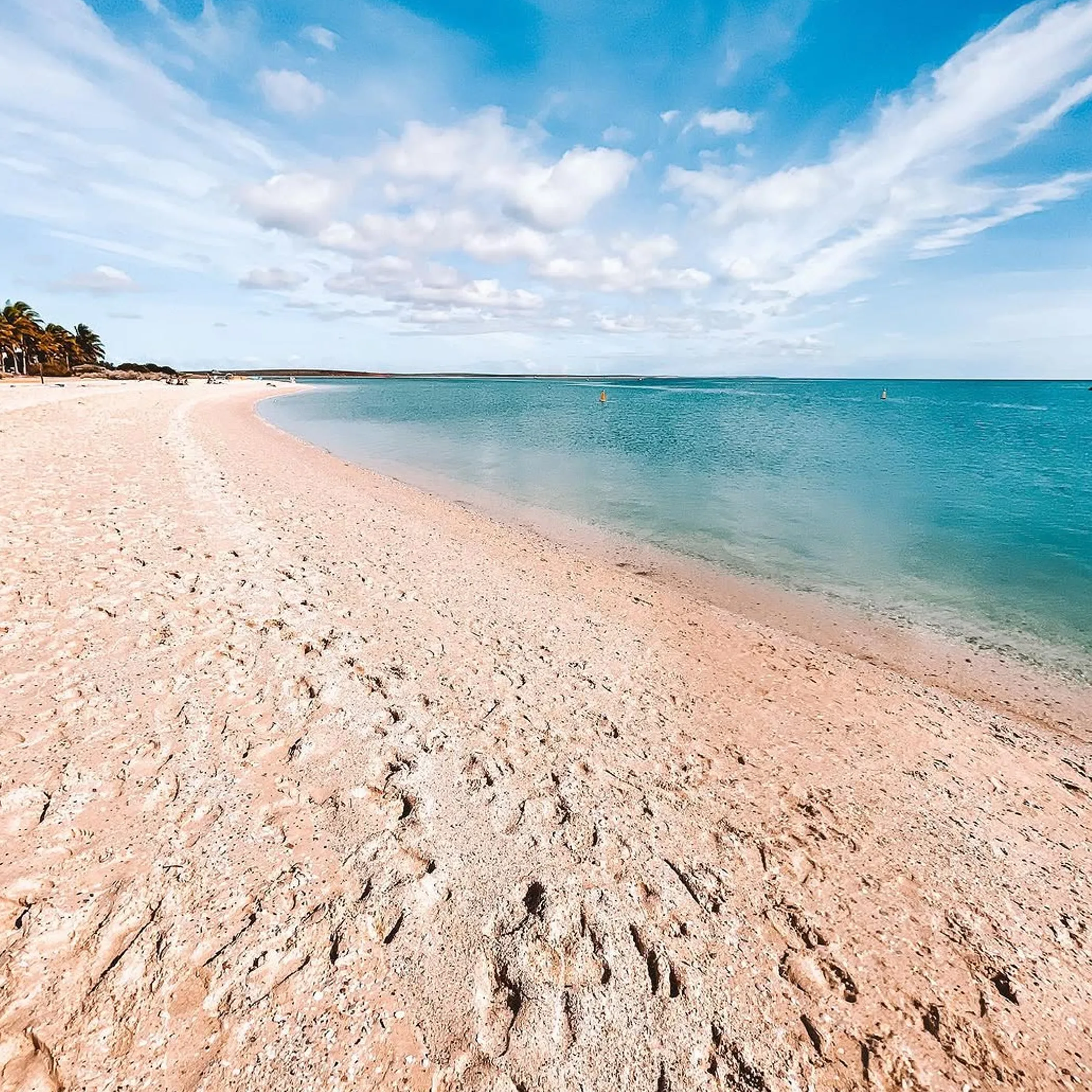 natural beach scene at monkey mia