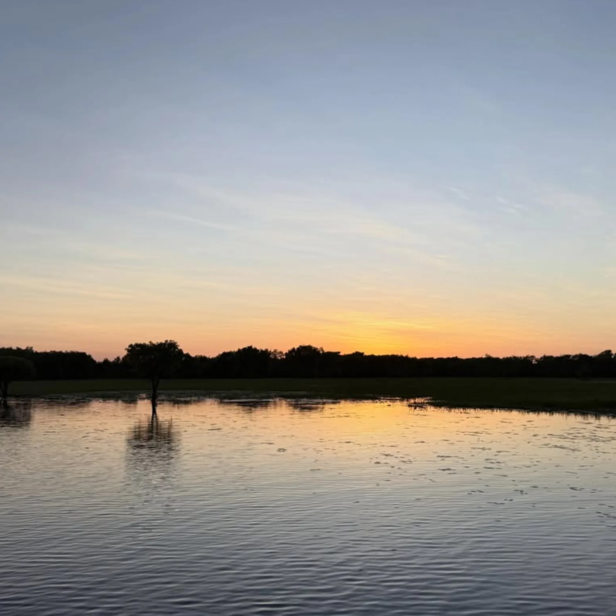kakadu yellow water cruise scene
