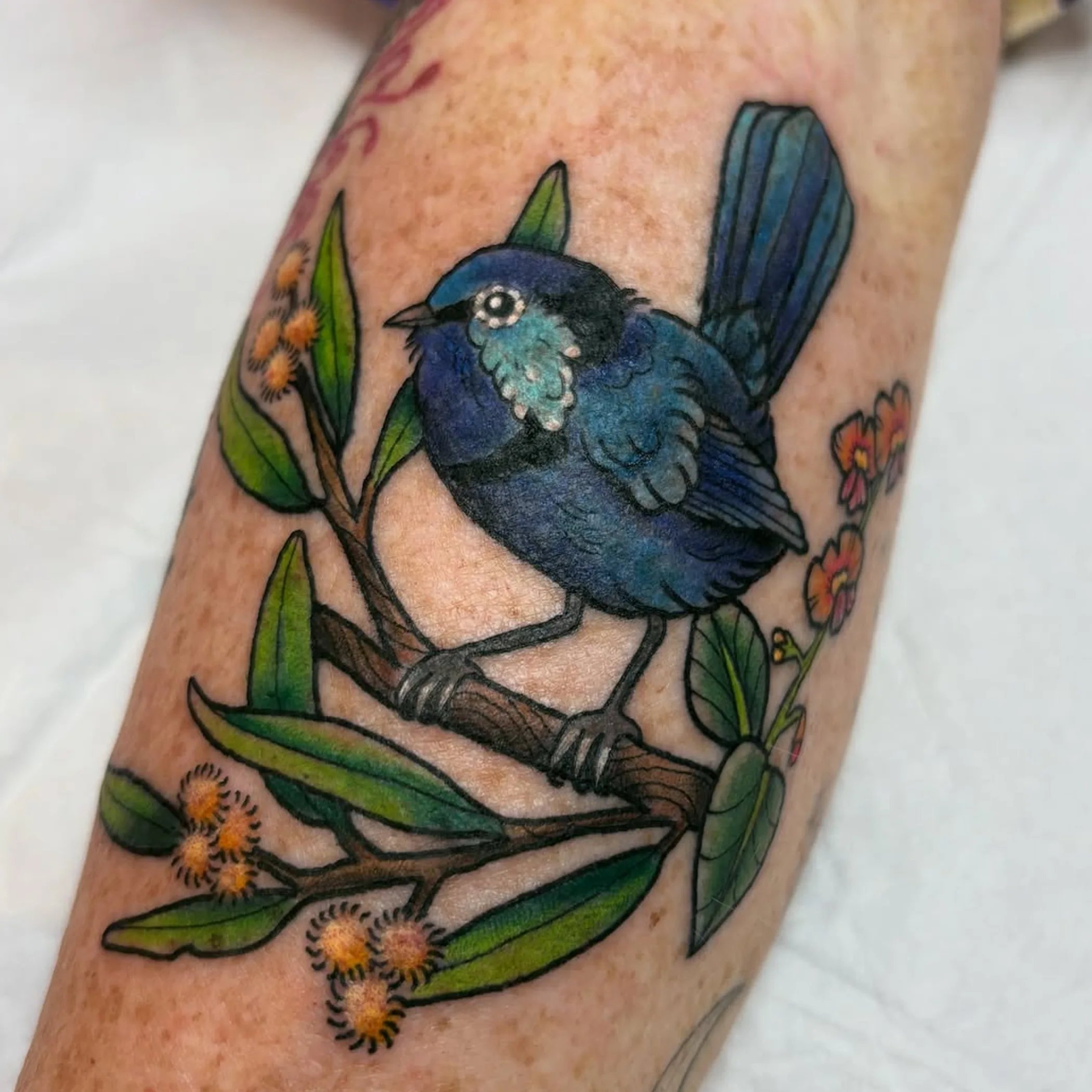 colorful australian botanical tattoo with fairy-wren
