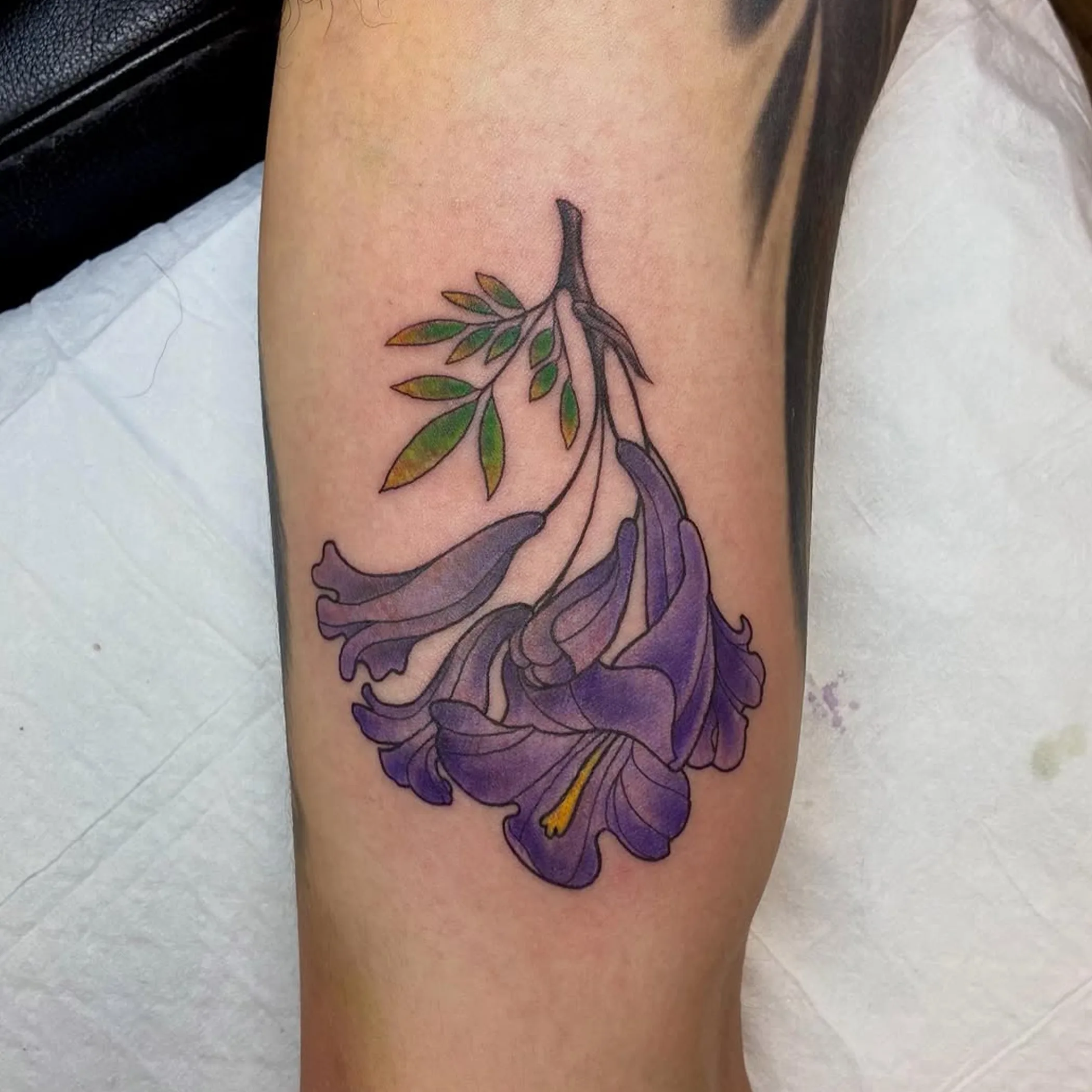 australian native flower tattoo